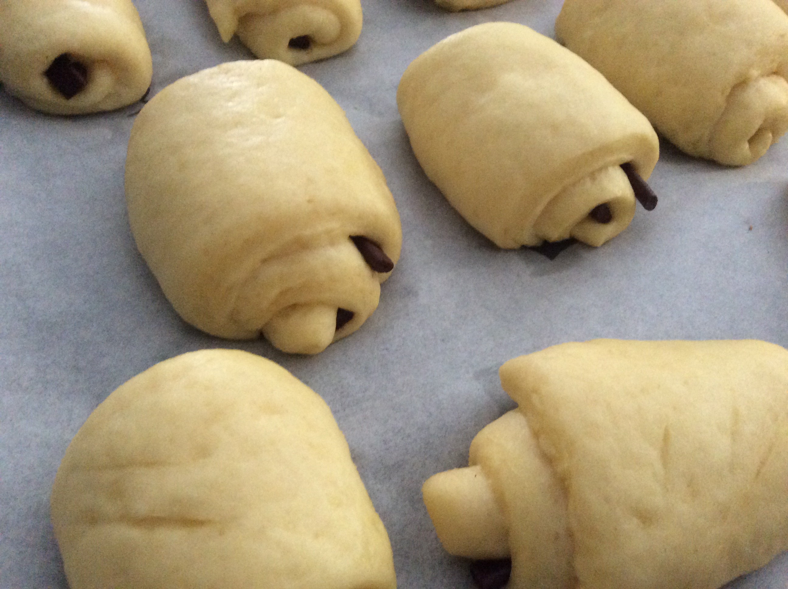 6A6F33AA-B205-46AA-91E2-F4505FF735BB